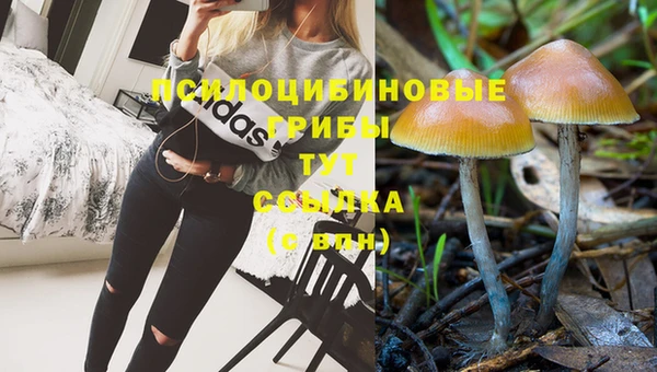 марихуана Баксан