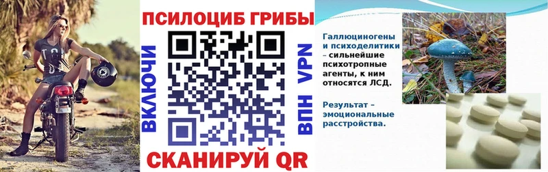 Галлюциногенные грибы Psilocybe дарнет шоп OMG ТОР Плёс